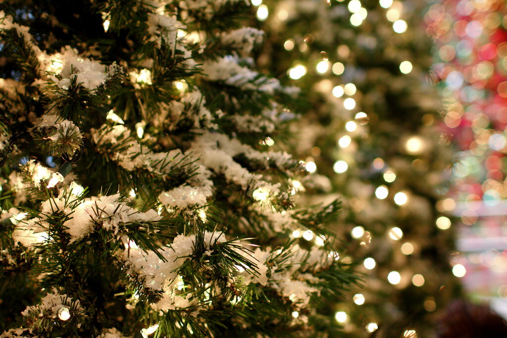 Office Holiday Trees Holiday trees in lobby of downtown Wa… Flickr