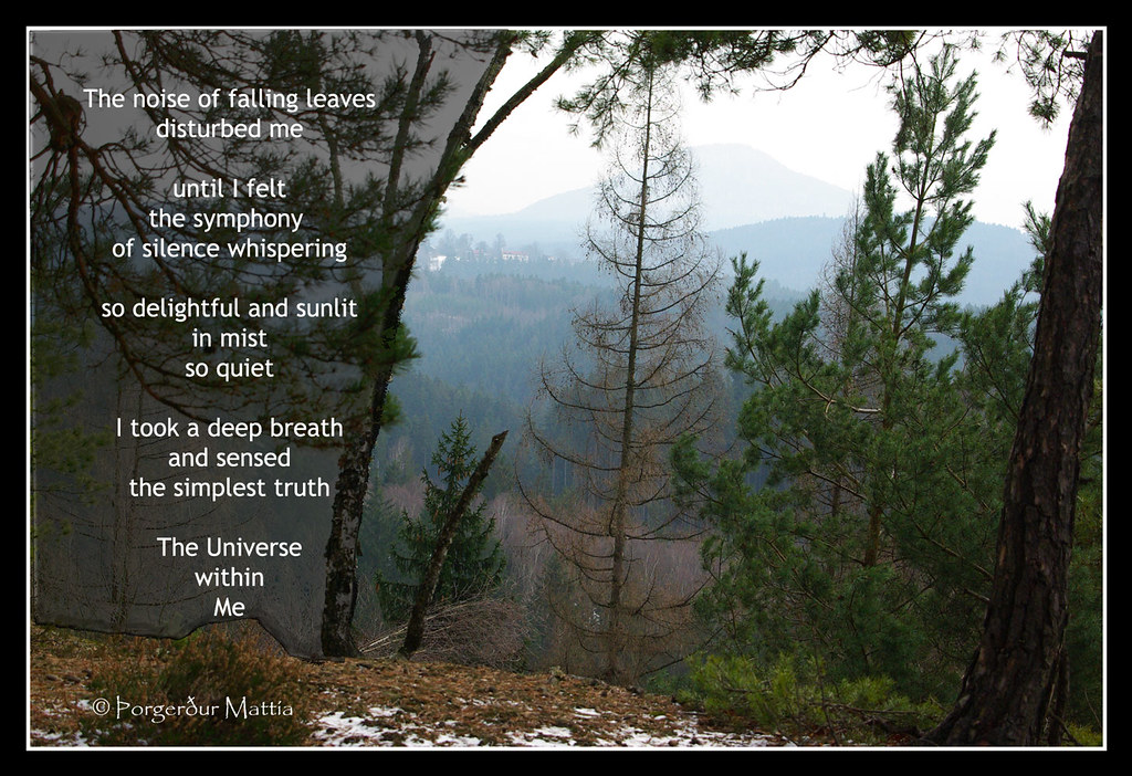 falling leaves poem While I was in Prag I went on a