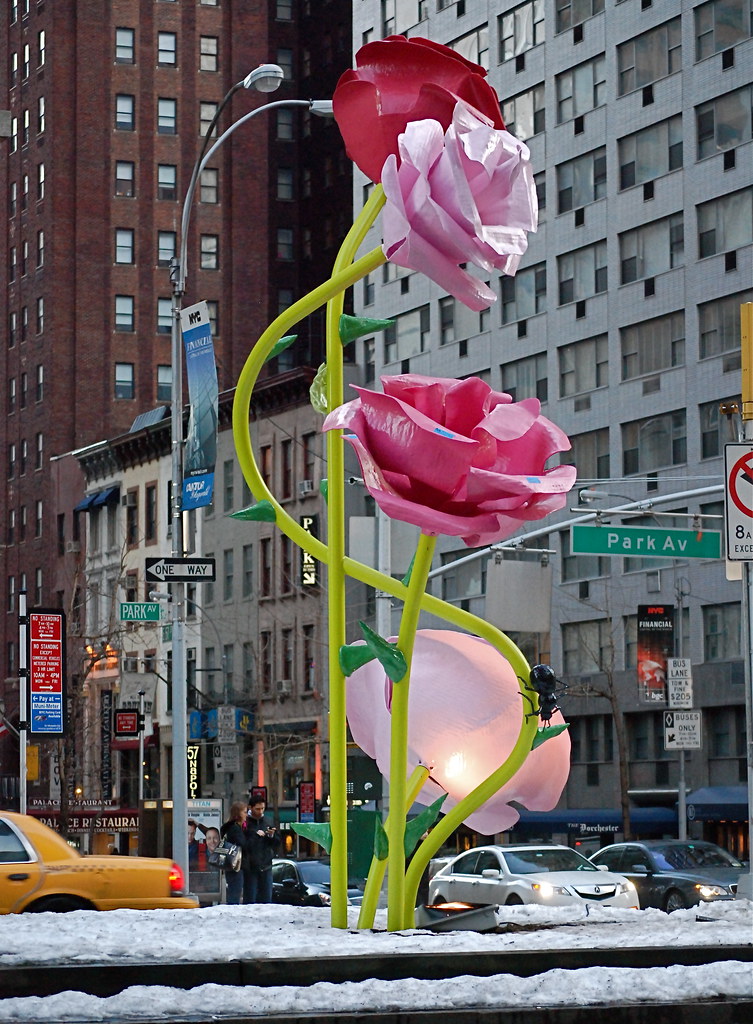 Will Ryman's "The Roses" On Park Avenue Rose sculptures by… Flickr