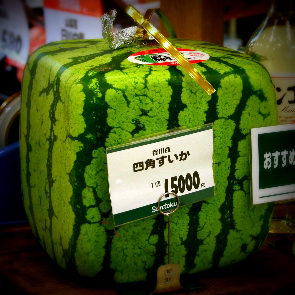 square watermelon tokyo A specialty square watermelon on… Flickr