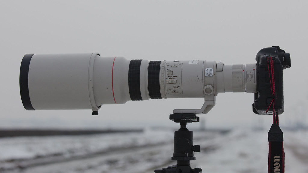 700 mm My new (second hand) lens, a Canon EF 500mm F4.5 L … Flickr