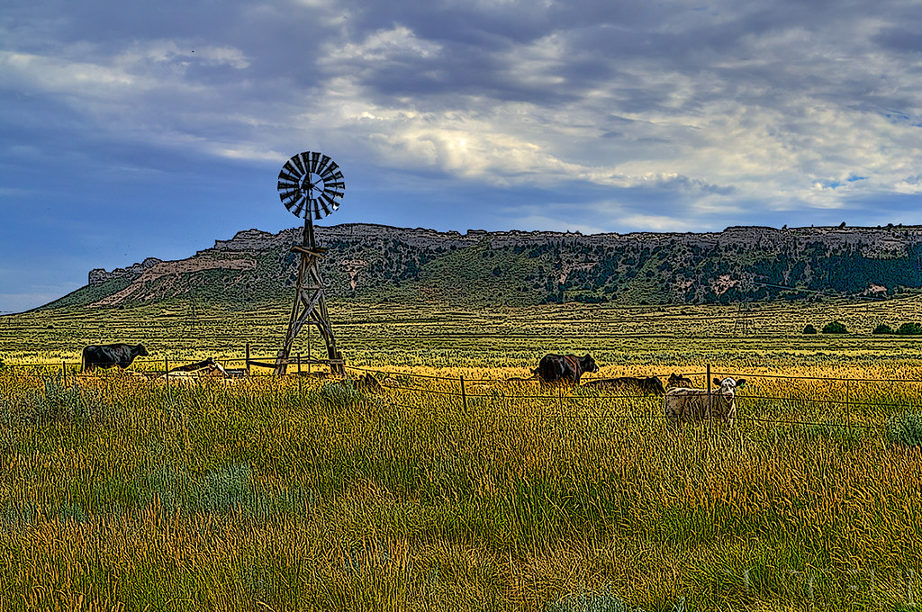 Pastoral Pasture with windmill and cattle. South Dakota, J… Flickr
