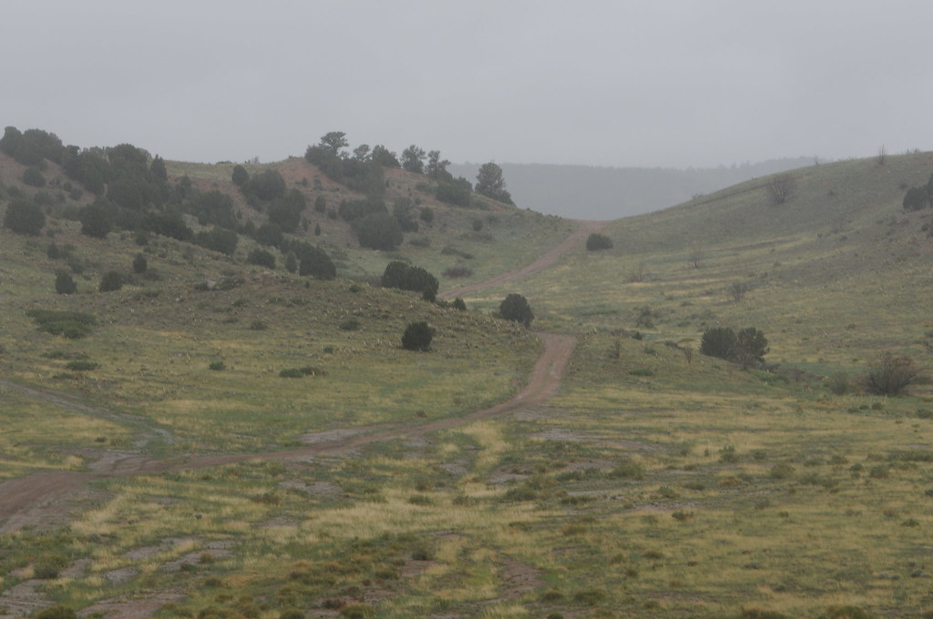 Land navigation course. FORT CARSON, Colo. A view of For… Flickr