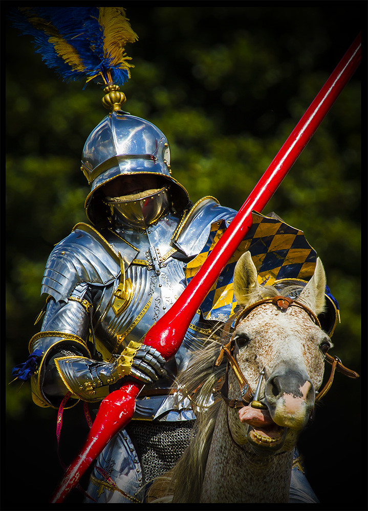 Beautiful Knight's armour Jousting Knight from Herstmonceu… Flickr