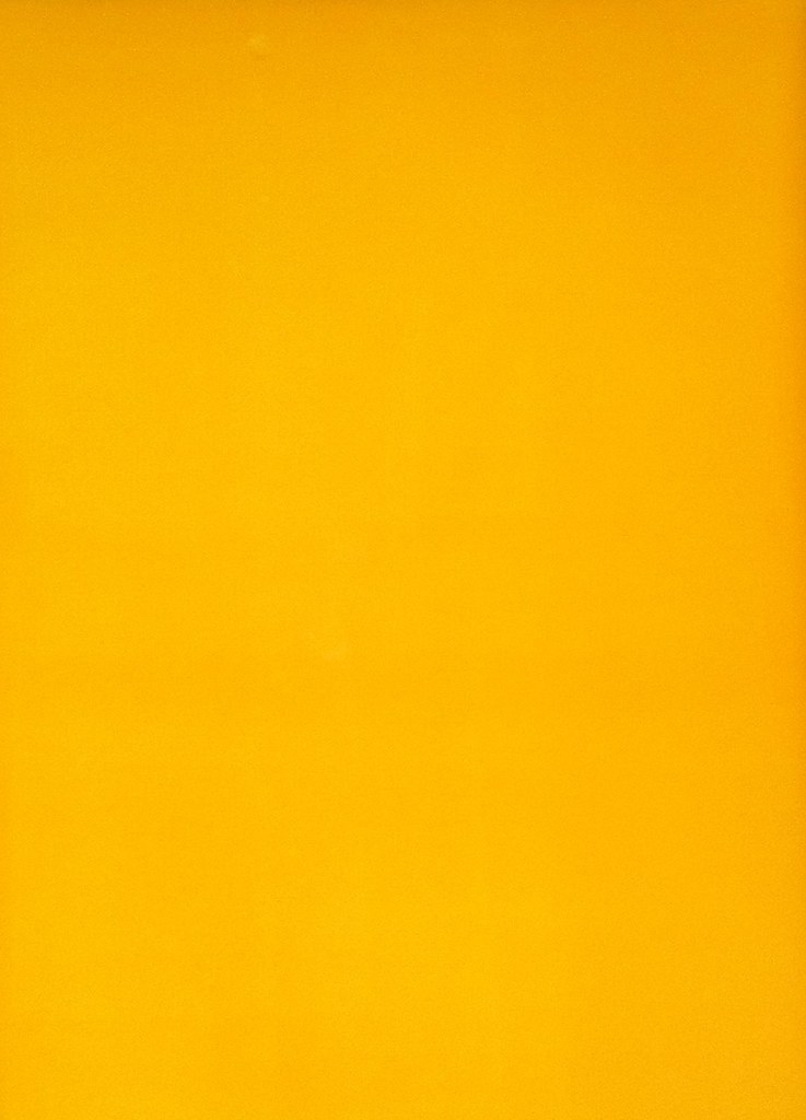 018bold color dark yellow Gina Marie Lewis Flickr