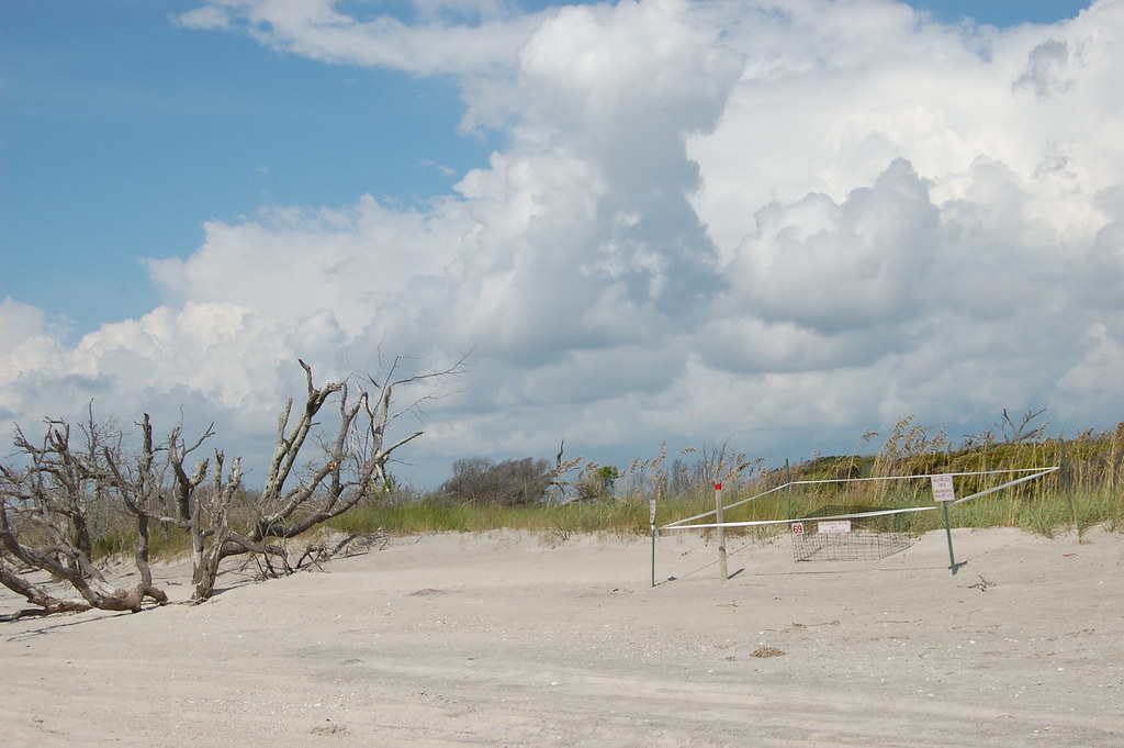 Onslow Beach, Camp Lejeune, NC August 8, 2013 Photo by Lil… Flickr