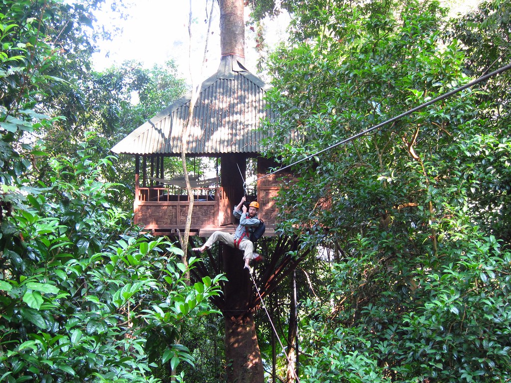 Zipline from our Treehouse Bolaven Plateau, Laos Flickr