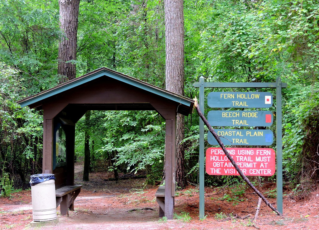 White Oak Lake State Park, Arkansas Vicki T Flickr