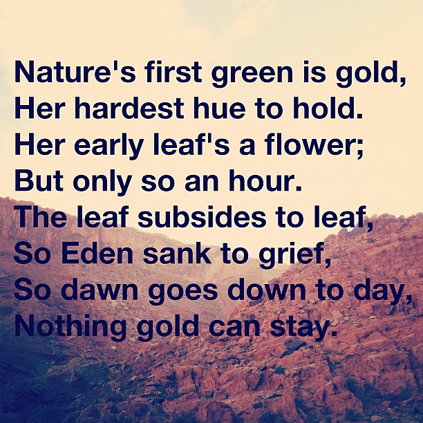 "Nothing Gold Can Stay" by Robert Frost poetry latergram