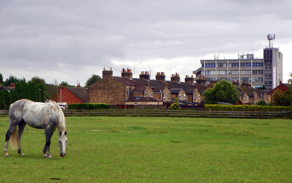 GOC RadwellRivers and Meadows 076 Arlesey A view of a hoâ€¦ Flickr
