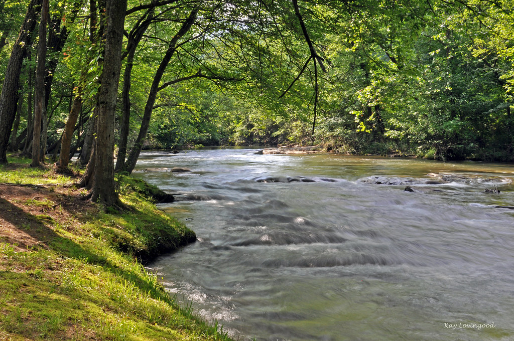 SWANNANOA RIVER 5 Most of these were taken at Asheville Ea… Flickr