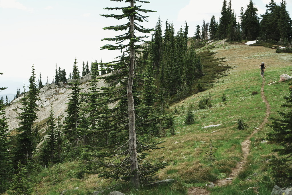 Clarkia Some love for North Central Idaho