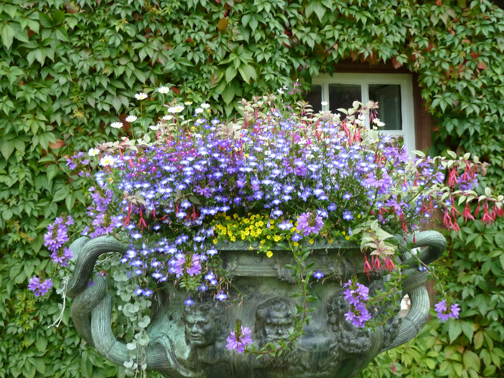 Urn with Flowers FloraandFauna_2 Flickr