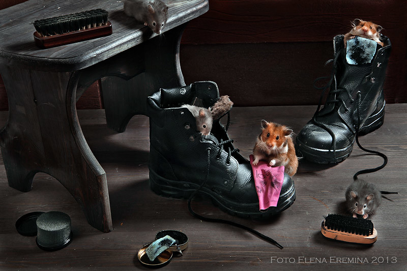 shoe shiners Elena Eremina Flickr