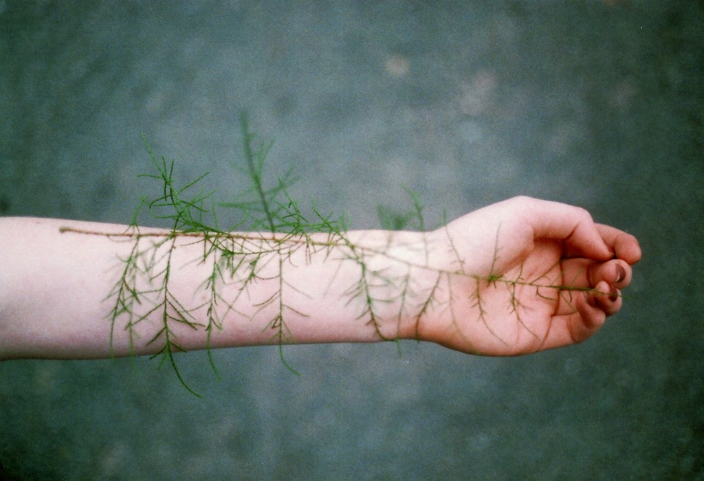 I see the flowers growing in your lungs green days more … Flickr