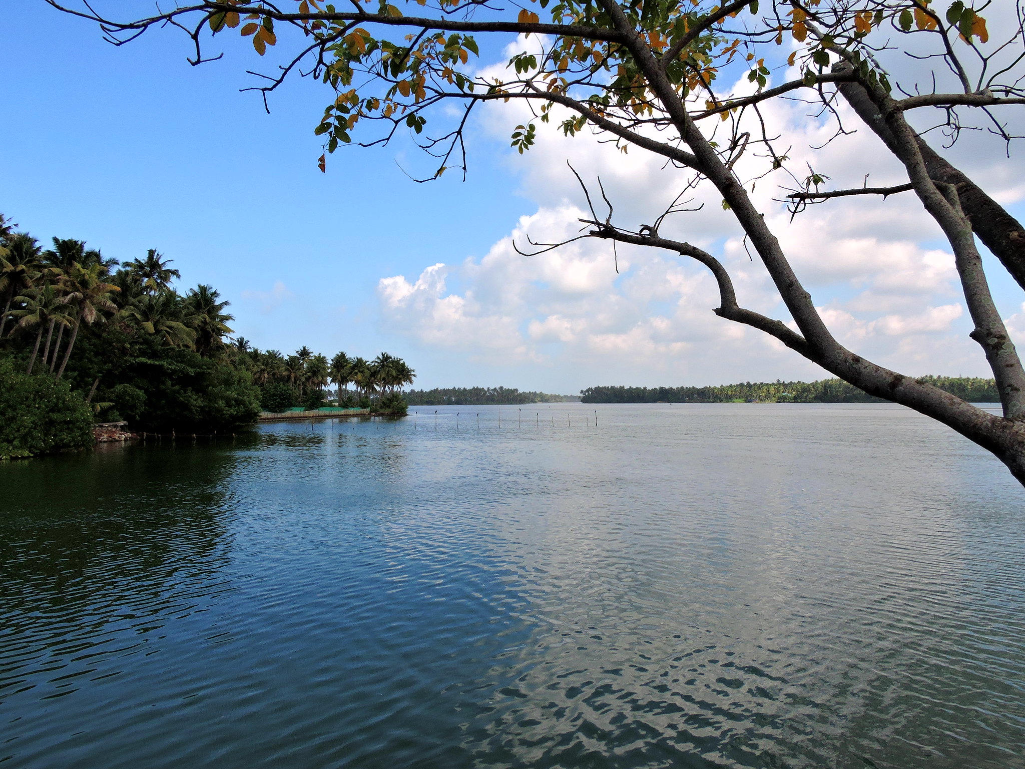 10 Alluring Lakes In Kerala That You Must Not Miss