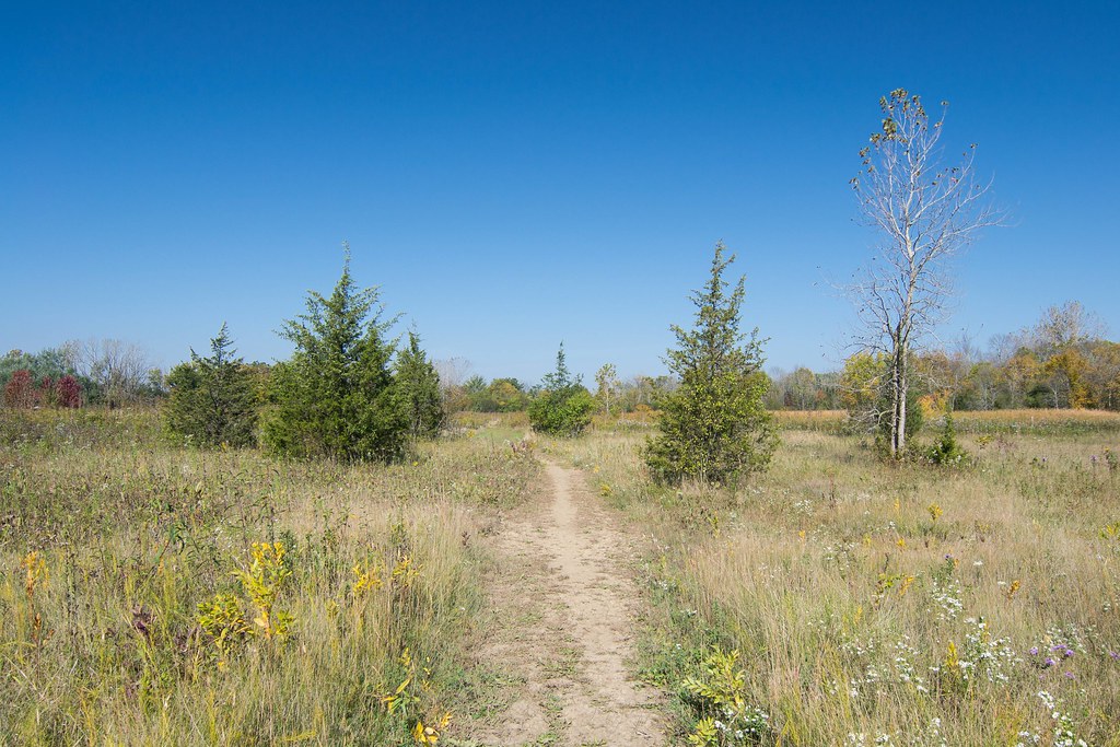 Prairie Wolf Dog Park Photos of the Prairie Wolf Dog Park … Flickr
