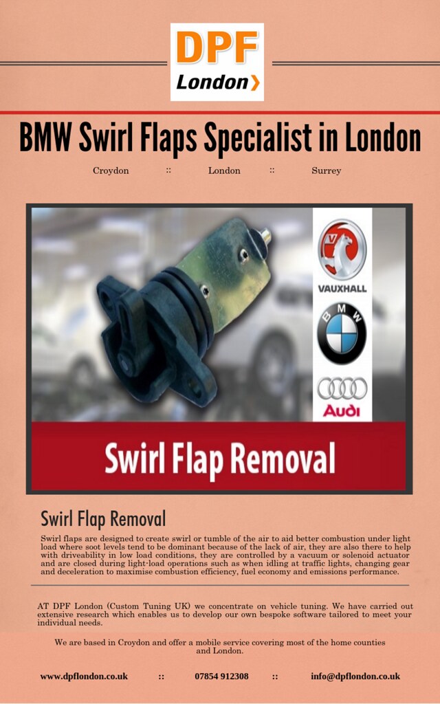 BMW Swirl Flaps Specialist in London uCollect Infographics