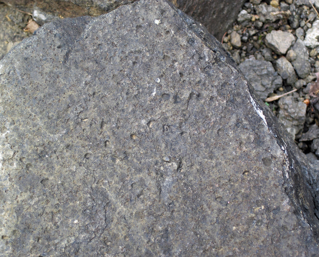 Vesicular olivine diabase (Lafayette Bluff Sill, Proterozo… Flickr