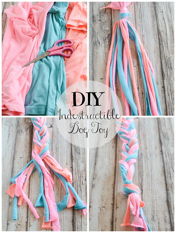 DIY Indestructible Dog Toy Fake Ginger