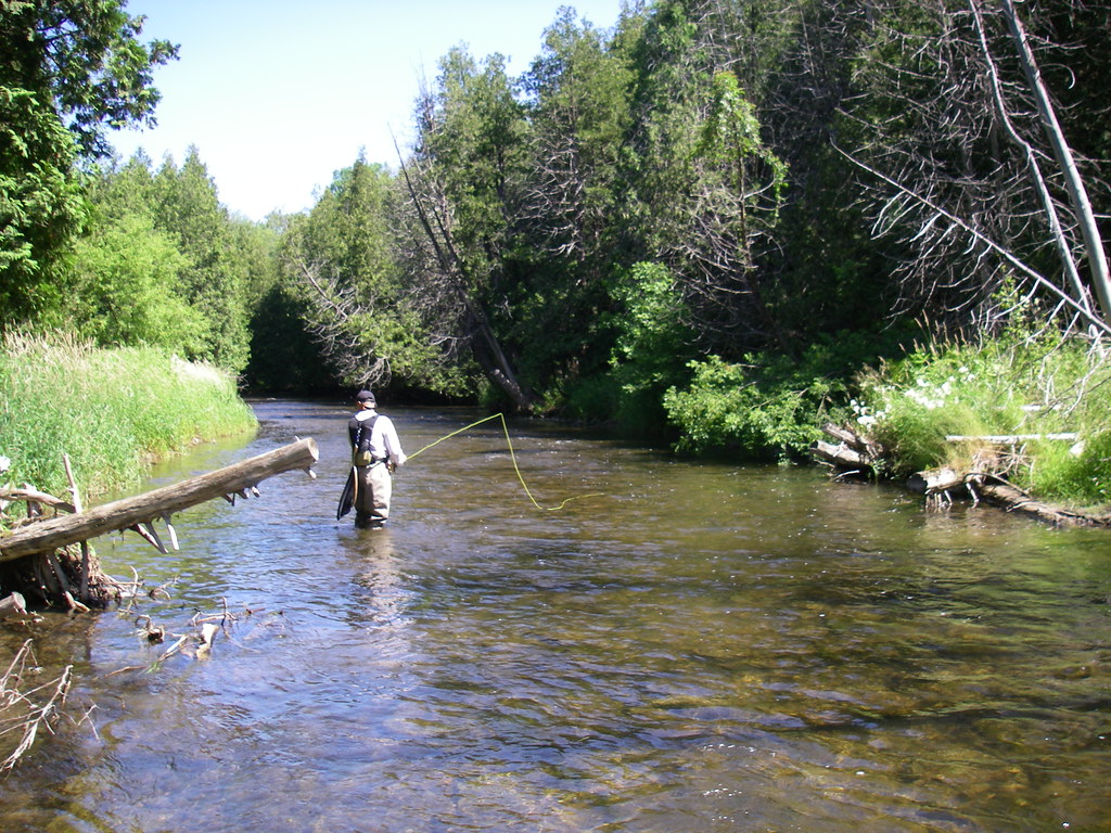 Ontario Brook trout