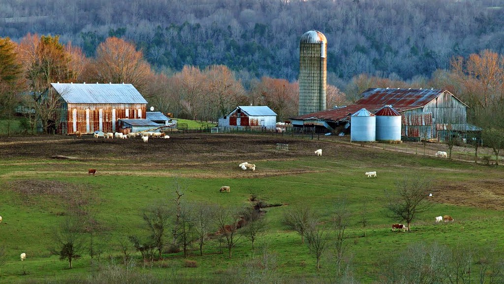 Farmland USA The Morrow Family Farm Baker Bluff Overlook… Flickr