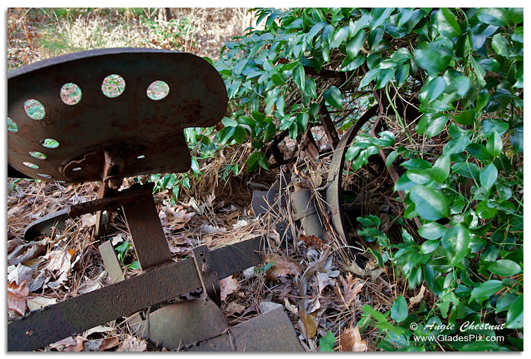 Tobacco Setter While visiting family in SC over the holida… Flickr