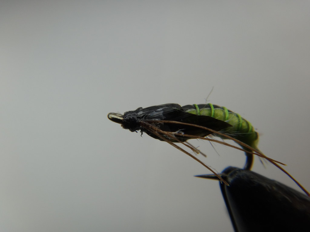 Best Ontario trout flies used by Ontario's top river guide