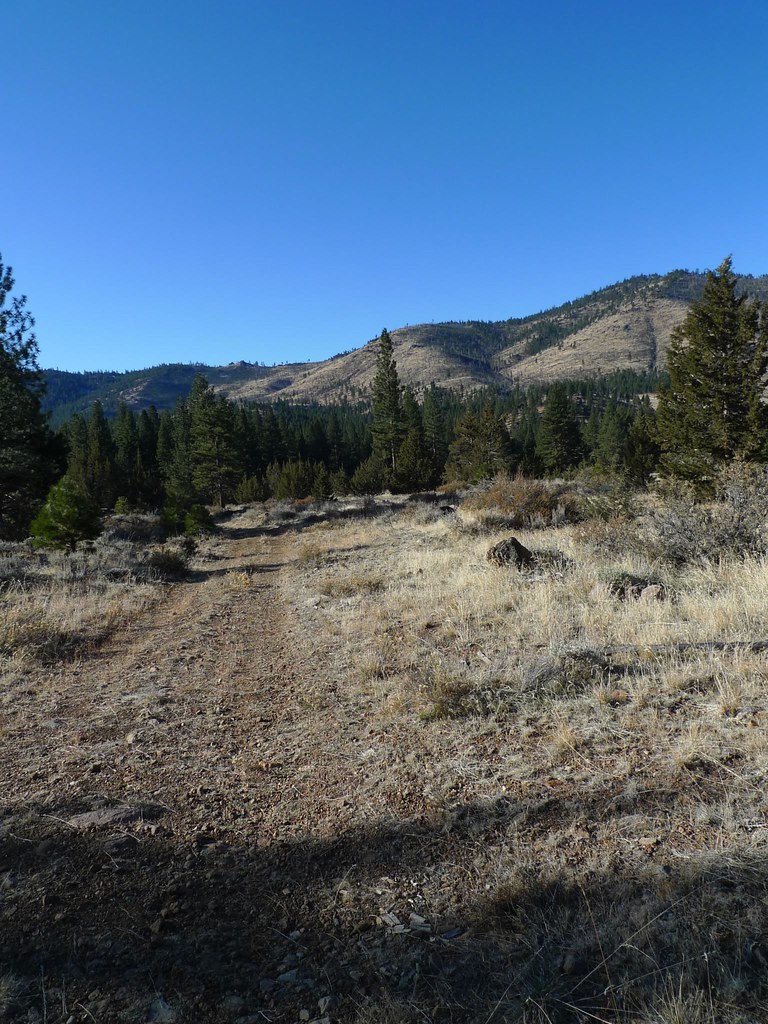 Land for Sale Loyalton, California Mark Hogan Flickr
