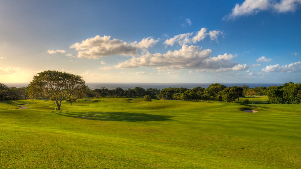 Sandy Lane "Green Monkey" Golf Course, Barbados Shutter In Motion