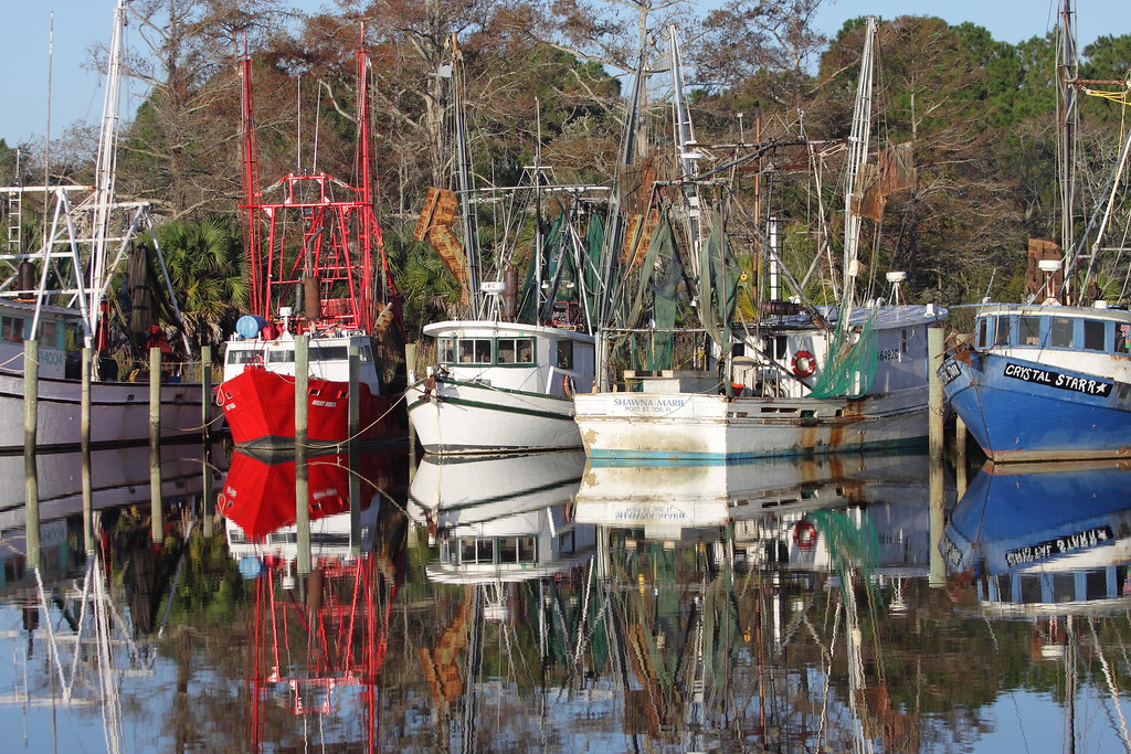 Scipio Creek Marina, Apalachicola, FL From the Bear Woods … Flickr