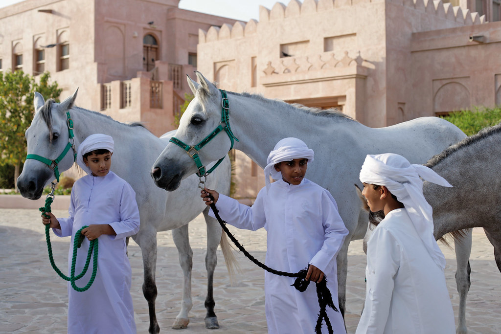 Arabian Horses, Abu Dhabi Arabian Horses in Abu Dhabi Flickr