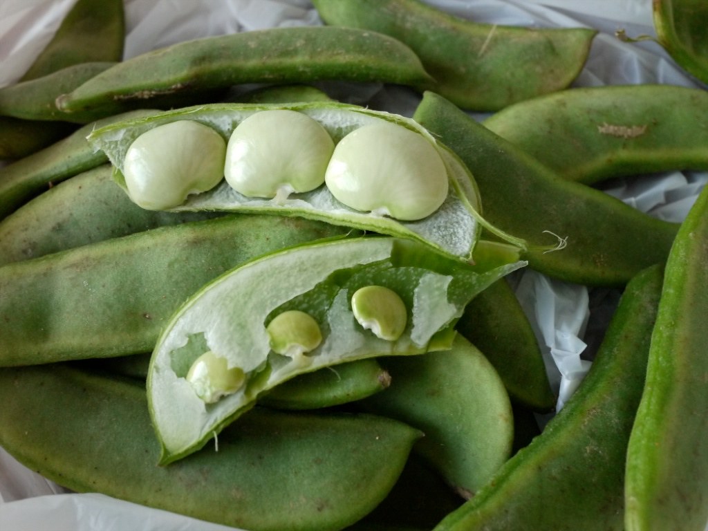 Lima beans Lima beans lulun & kame Flickr