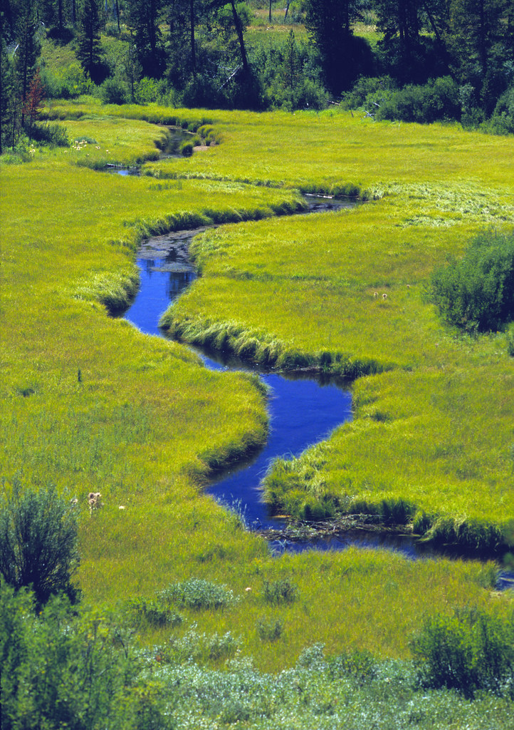 Meandering Stream Through A Meadow Meandering stream (Chri… Flickr