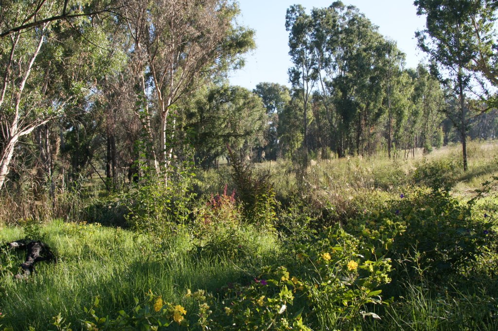 Modderfontein Nature Reserve Caroljdp Flickr