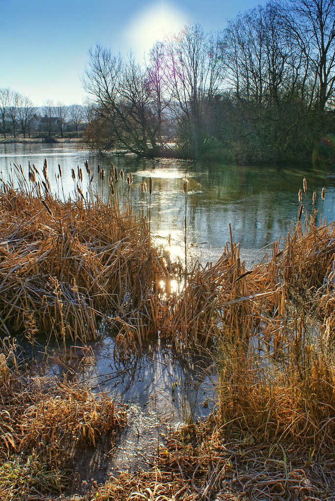 mystic morning sun Okay, I admit it. Overexposed the sky,… Flickr