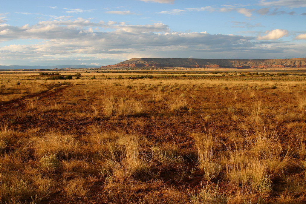Prairie, Near Albuquerque, New Mexico Prairie land on the … Flickr