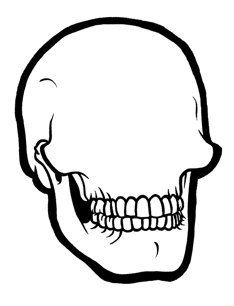 Skull Blank Draw some shiiiiiiiiiit on it and leave it in … Flickr