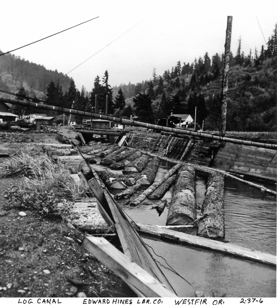 Westfir Oregon Log Canal to Edward Hines Lumber Company Sa… curtis