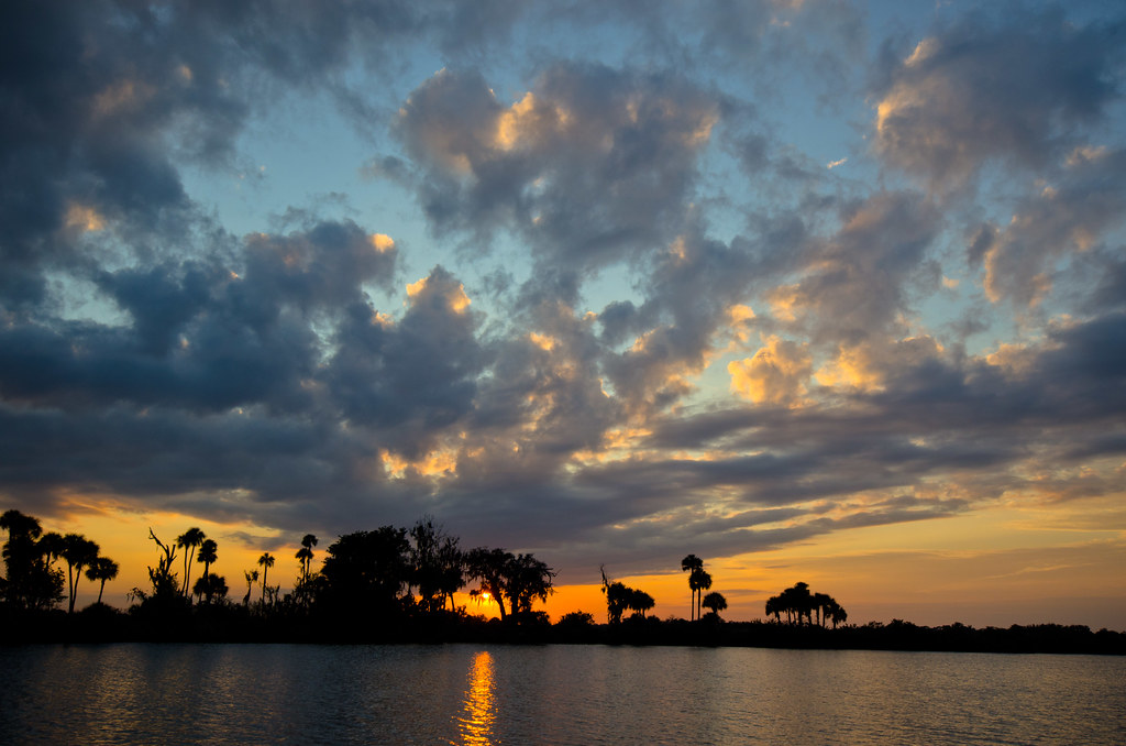 Caloosahatchee River Caloosahatchee River. Florida Wildlif… Flickr