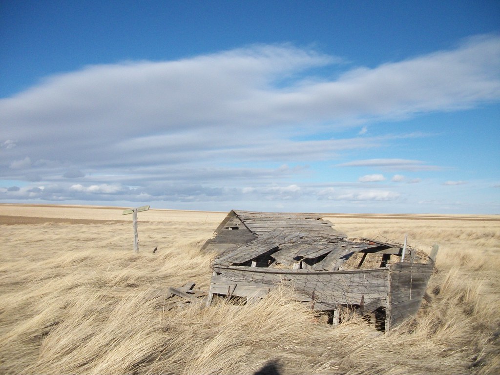 Wind and the weeds Taken north of Burns Wyoming on route 2… Flickr