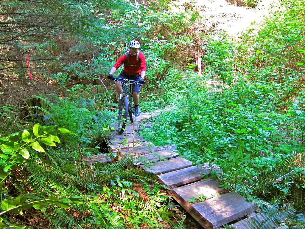 gb20 Mountain Biking Galbraith Mountain Bellingham WA … Flickr