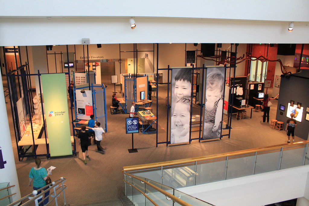 Human Body Exhibit Taken at the Minnesota Science Museum. … Flickr