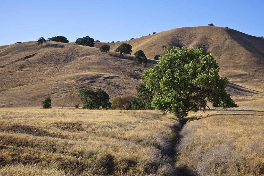 Contra Costa Hills 4 Contra Costa County. Chadbourne Road… Flickr