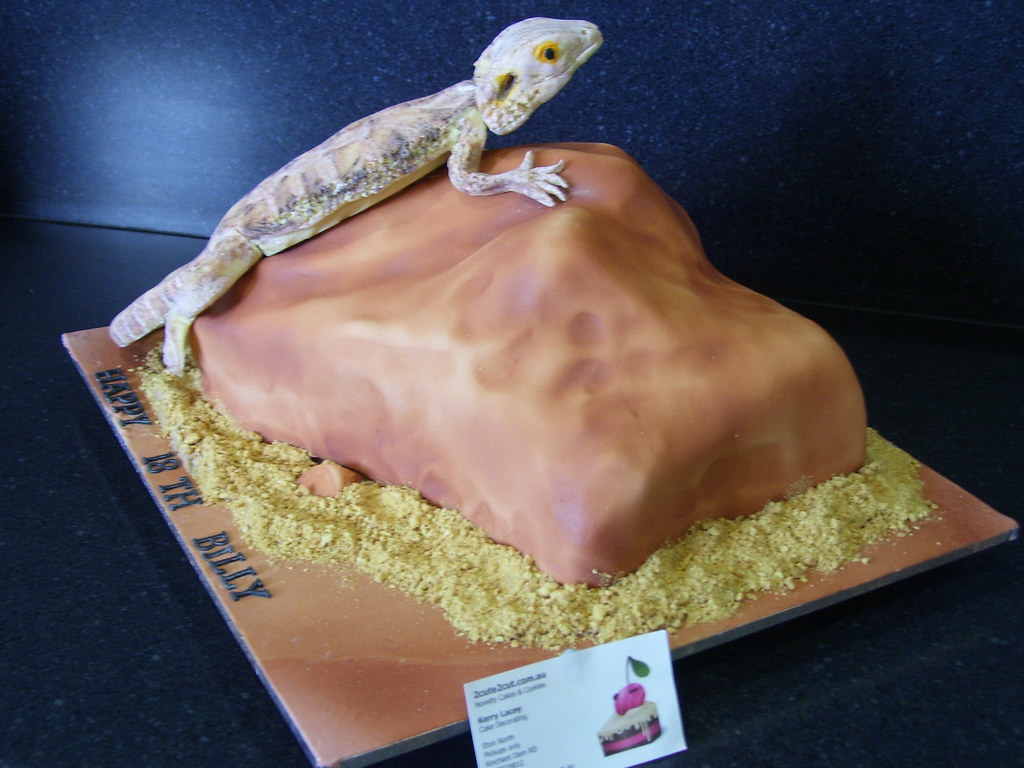 Bearded Dragon Billy 18th Billy Chocolate Cake