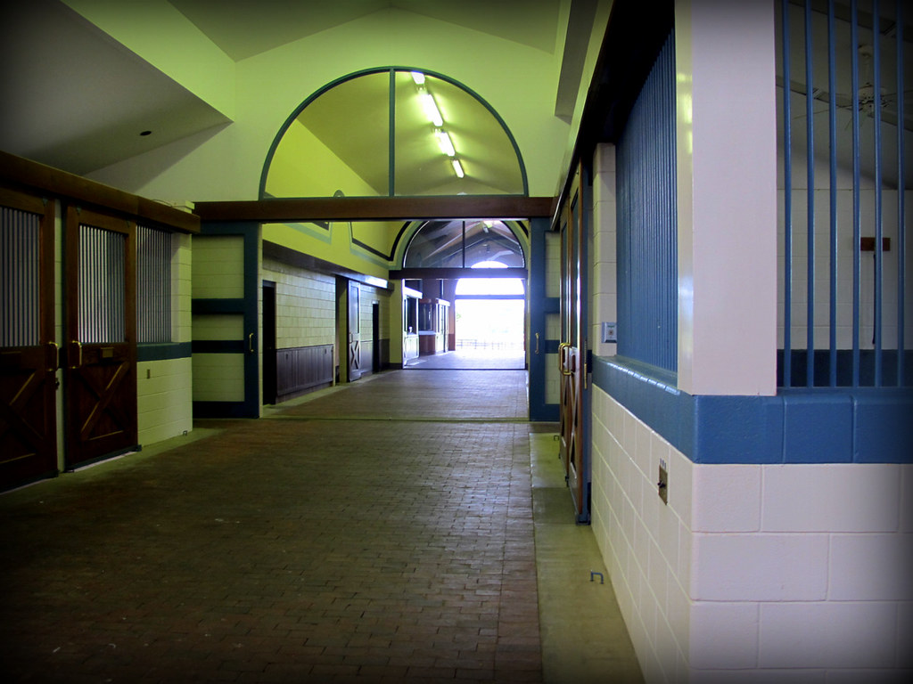 The Sheik of Dubai Gainsborough Farm maternity barn Eileen