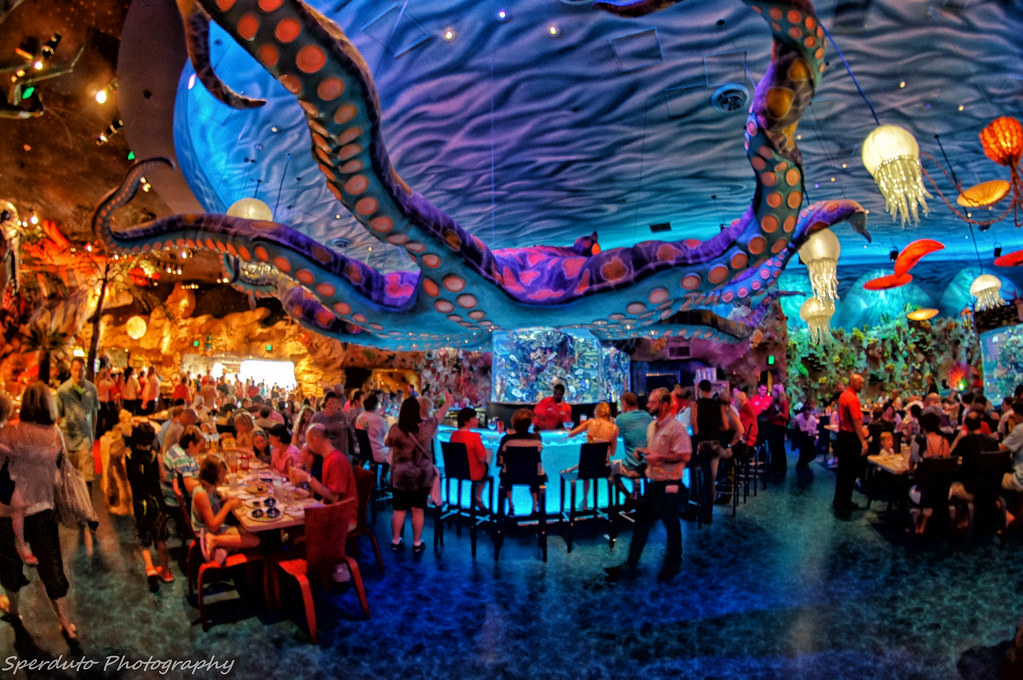 TRex Restaurant Fish eye Fish eye picture of the bar area… Flickr
