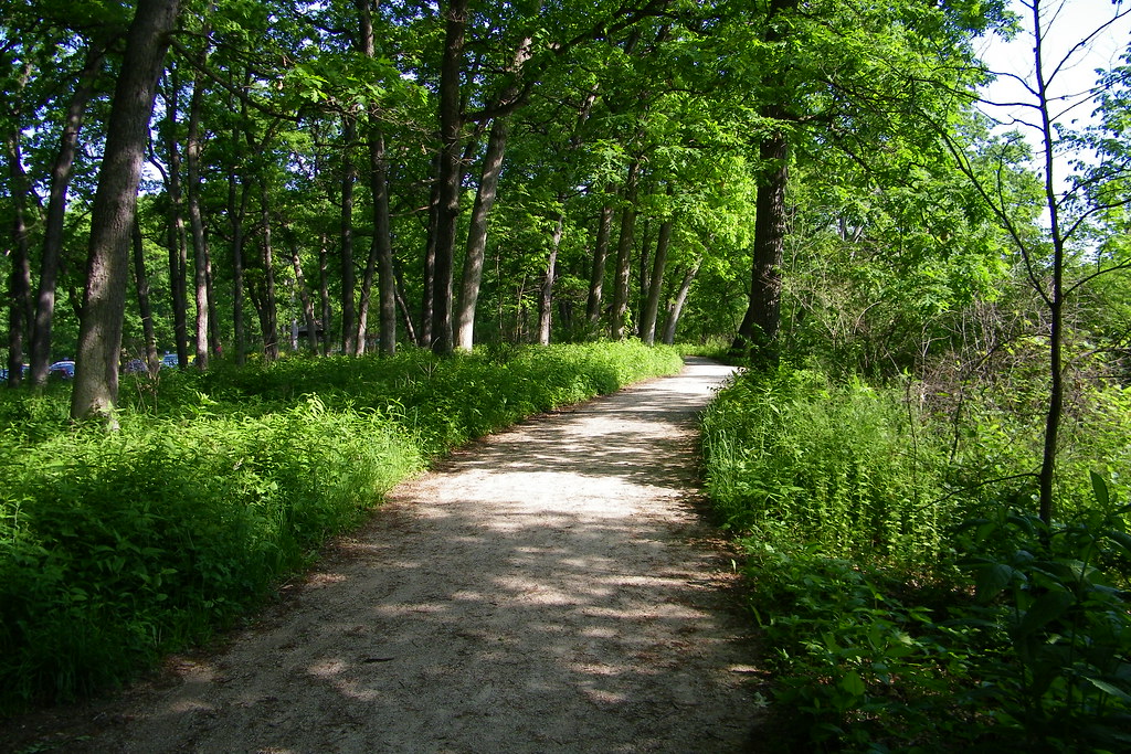 Fullersburg Woods Forest Preserve (Oak Brook, Illinois) Flickr
