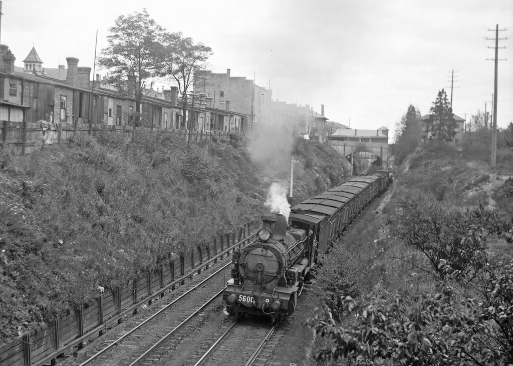 [D55 Class] oil burning Steam NSW, 1940s Flickr