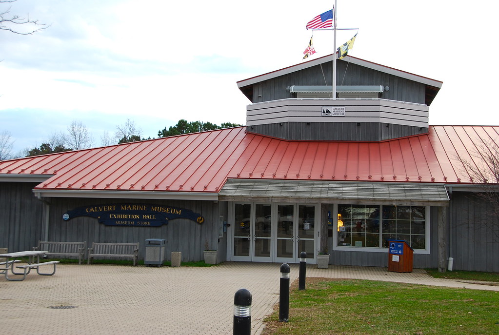 Calvert Marine Museum Calvert Marine Museum, Solomons, MD Flickr